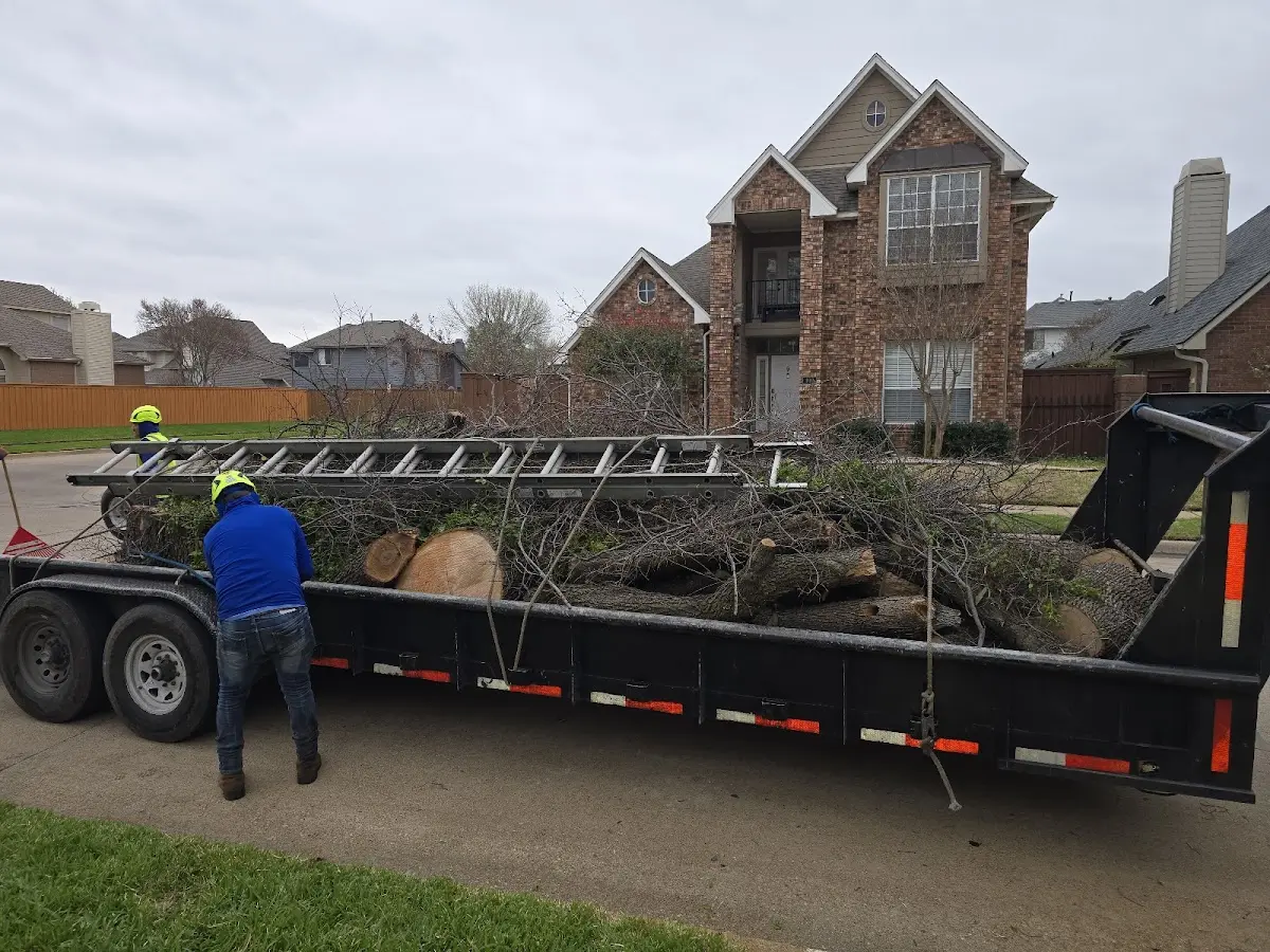 Expert Tree Fertilization with proper safety equipment in Acme